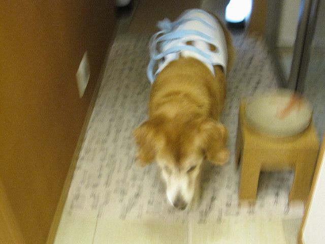 ファイル 2555-2.jpg