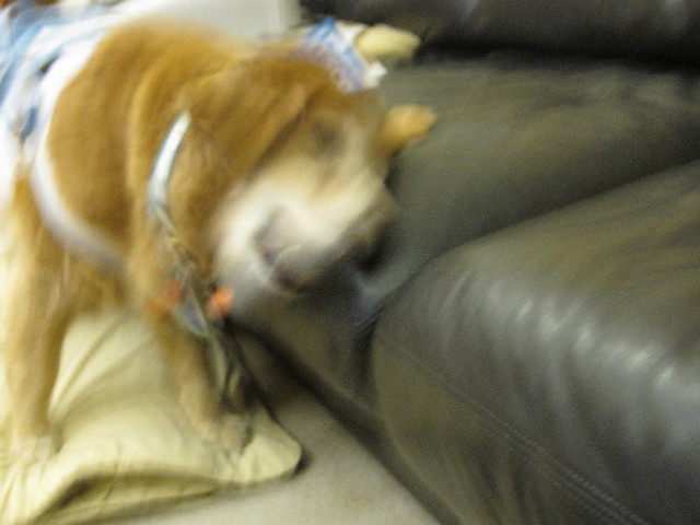 ファイル 2555-3.jpg