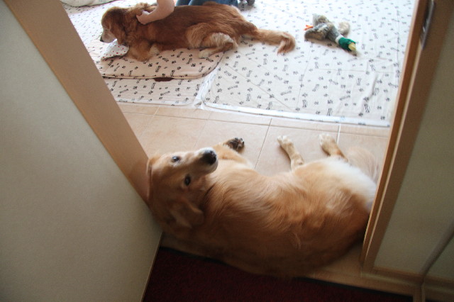 ファイル 2556-3.jpg