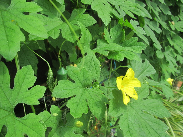 ファイル 2556-4.jpg