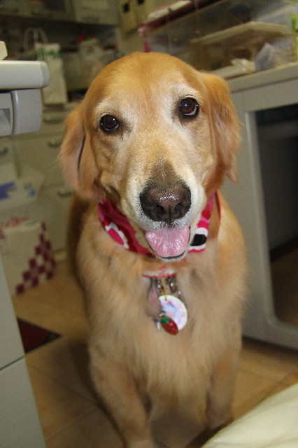 ファイル 2558-3.jpg