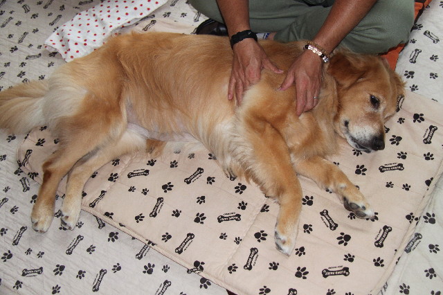 ファイル 2560-3.jpg