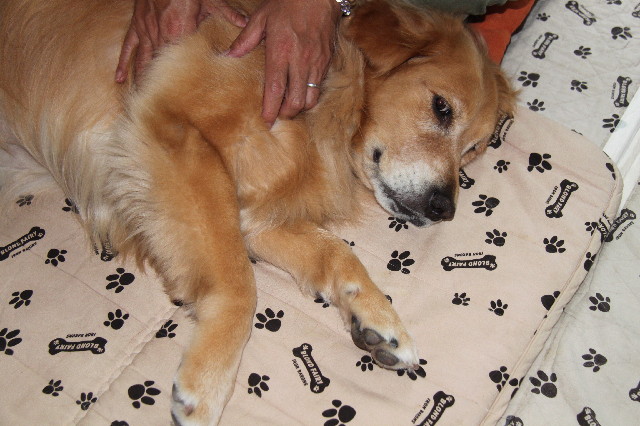 ファイル 2560-4.jpg