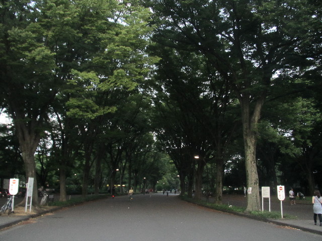 ファイル 2560-5.jpg