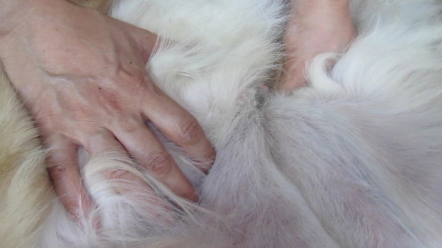 ファイル 2562-5.jpg