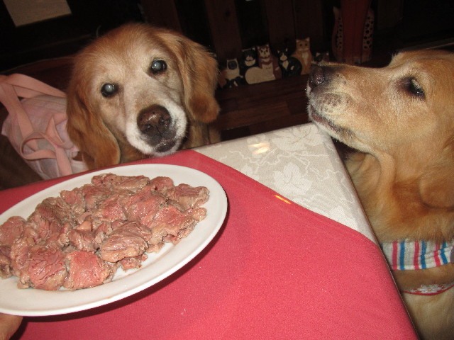 ファイル 2565-1.jpg