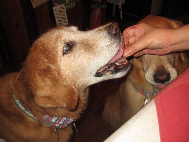 ファイル 2565-2.jpg