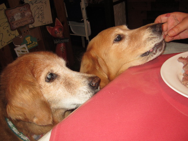 ファイル 2565-3.jpg