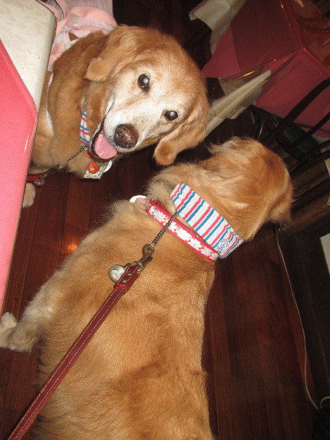 ファイル 2565-4.jpg