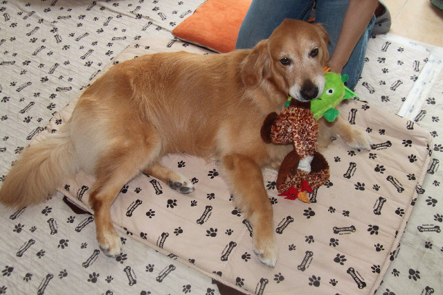 ファイル 2567-1.jpg