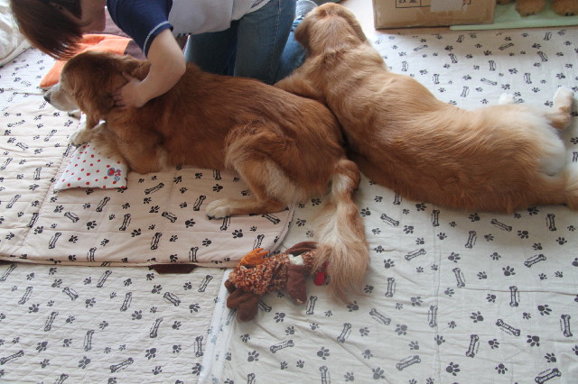 ファイル 2567-3.jpg