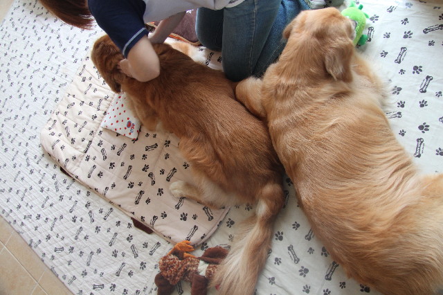 ファイル 2567-4.jpg