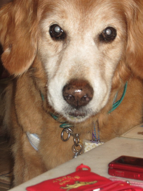 ファイル 2567-5.jpg