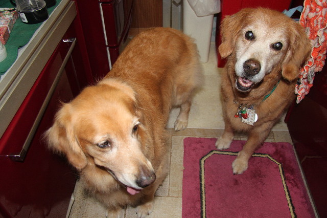 ファイル 2568-3.jpg