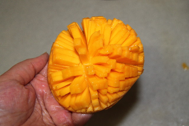 ファイル 2568-4.jpg