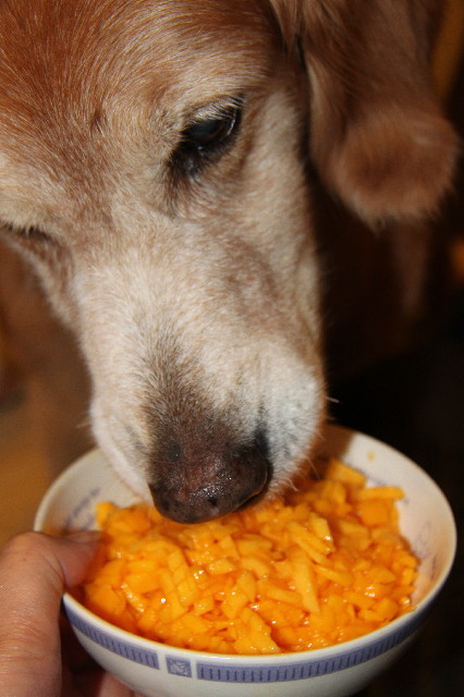 ファイル 2568-5.jpg