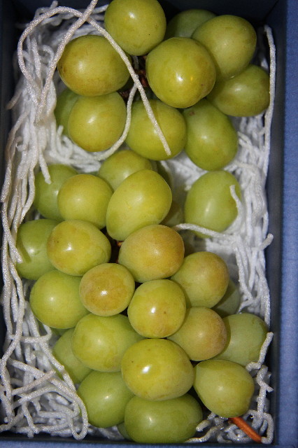 ファイル 2569-2.jpg