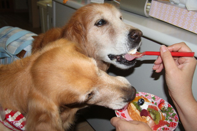 ファイル 2569-3.jpg