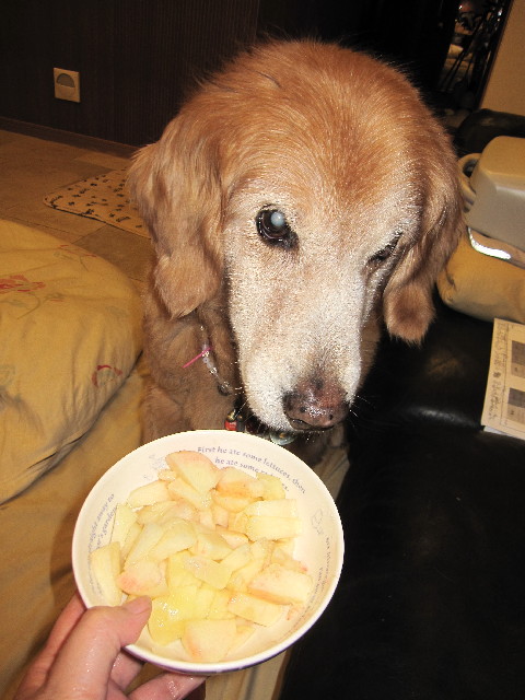 ファイル 2569-4.jpg