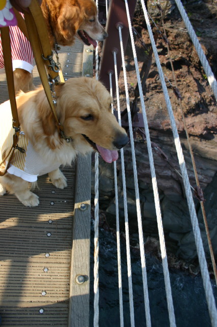 ファイル 257-3.jpg