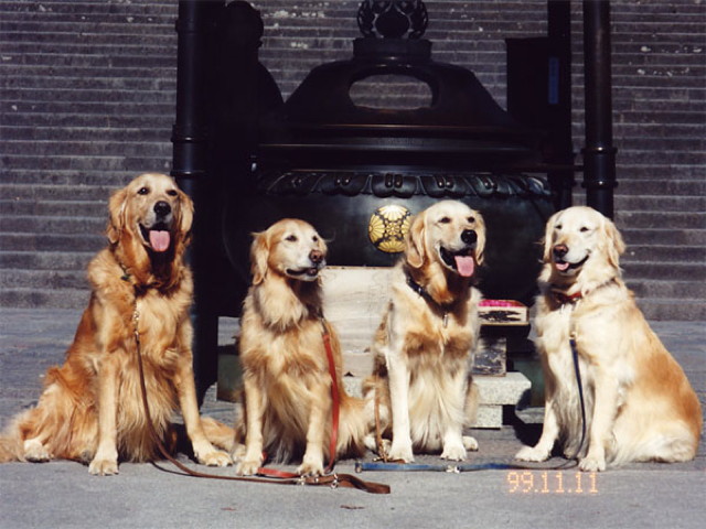 ファイル 2571-2.jpg