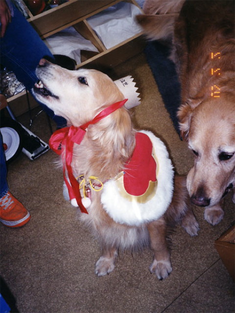 ファイル 2571-4.jpg