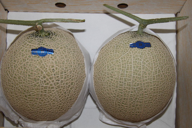 ファイル 2572-3.jpg