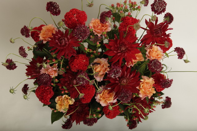 ファイル 2572-4.jpg