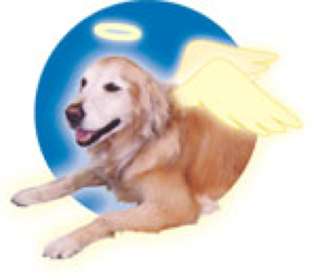 ファイル 2572-5.jpg