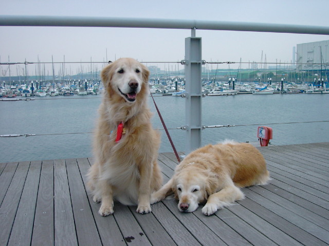 ファイル 2573-4.jpg