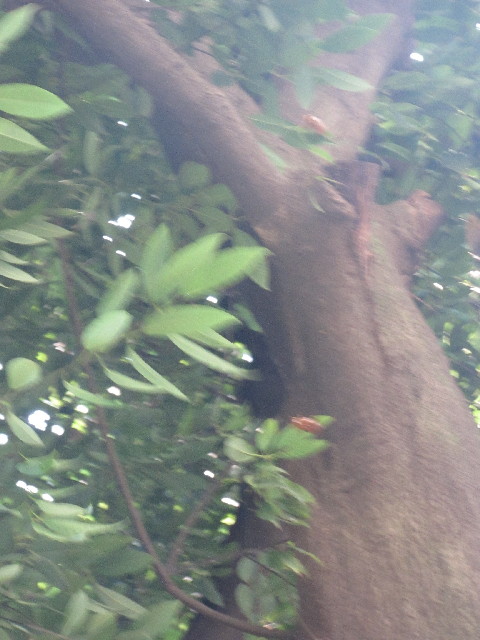 ファイル 2574-1.jpg