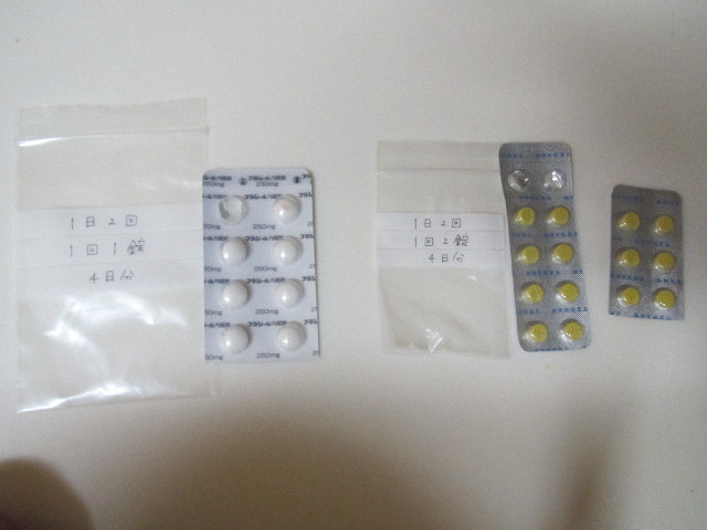 ファイル 2576-4.jpg