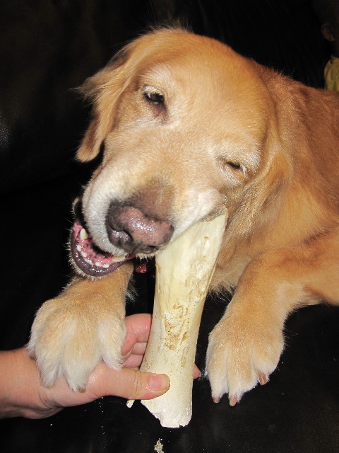 ファイル 2577-4.jpg