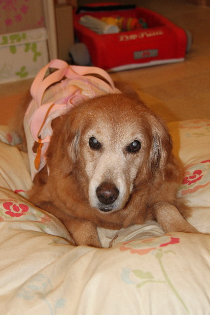 ファイル 2579-2.jpg