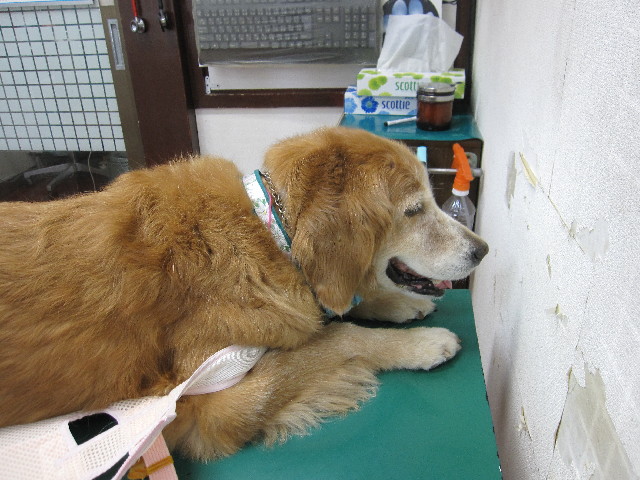 ファイル 2579-4.jpg