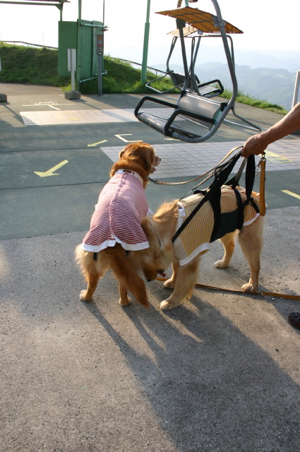 ファイル 258-3.jpg