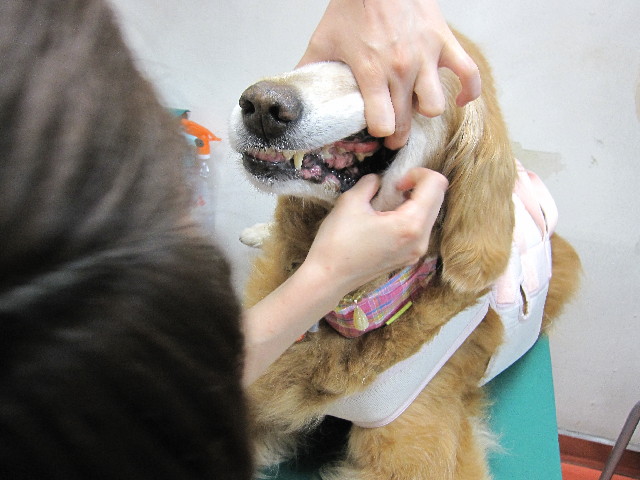 ファイル 2580-4.jpg