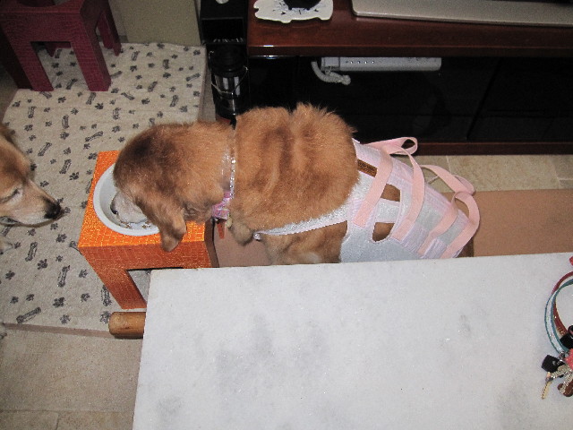 ファイル 2580-5.jpg