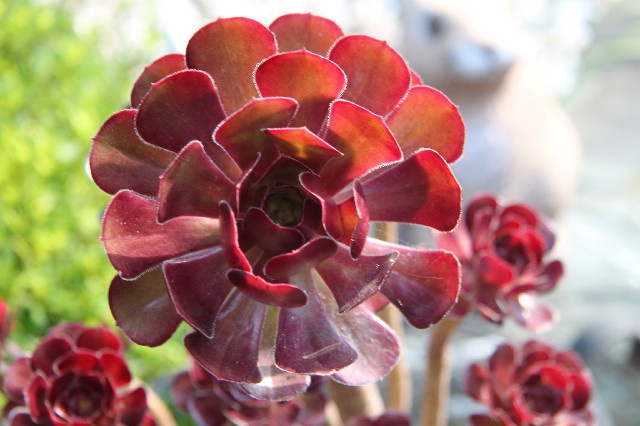 ファイル 2581-4.jpg