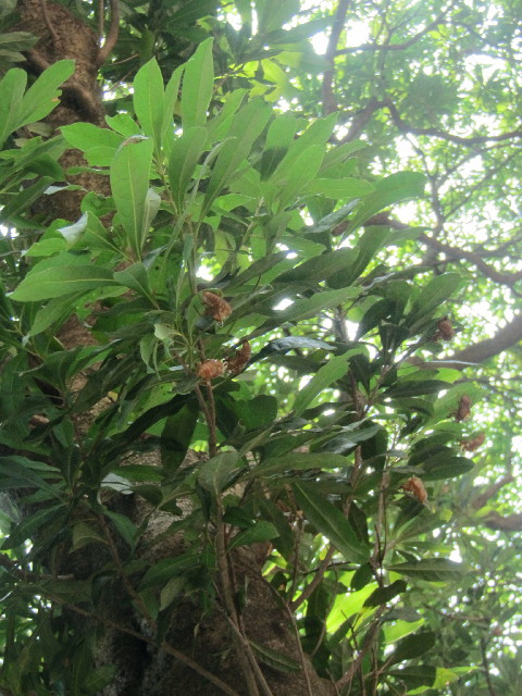 ファイル 2582-2.jpg