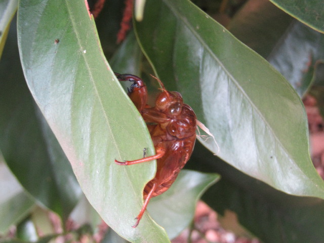 ファイル 2582-3.jpg