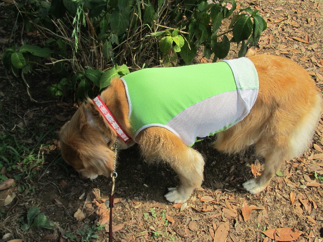 ファイル 2582-5.jpg