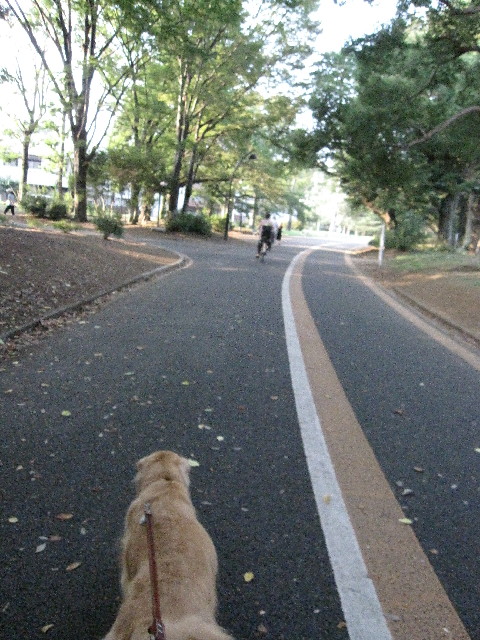 ファイル 2584-1.jpg