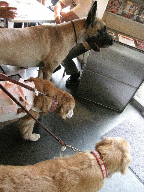 ファイル 2584-2.jpg