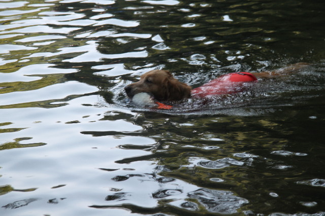 ファイル 2586-3.jpg