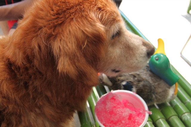 ファイル 2587-1.jpg