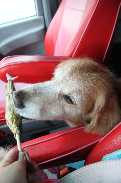 ファイル 2587-5.jpg