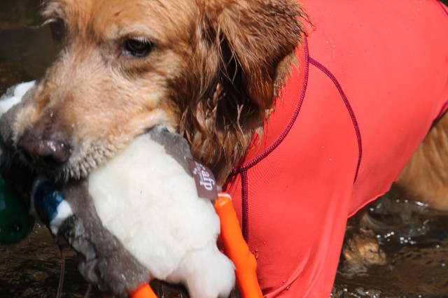 ファイル 2588-1.jpg