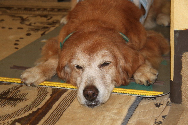 ファイル 2589-5.jpg