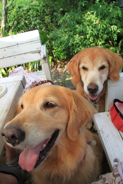 ファイル 2590-2.jpg